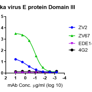 zika virus e protein domain iii his tag