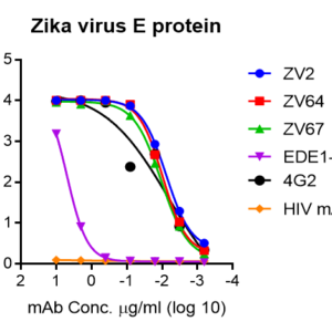 zika virus e protein – myc and his tags