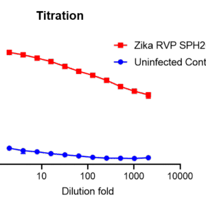 zika virus reporter virus particle (rvp) with renilla luciferase reporter