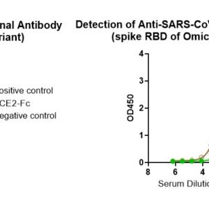 human anti sars cov 2 antibody igg titer serologic assay kit (spike rbd)