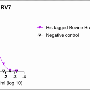 anti his tag mouse monoclonal antibody (copy)