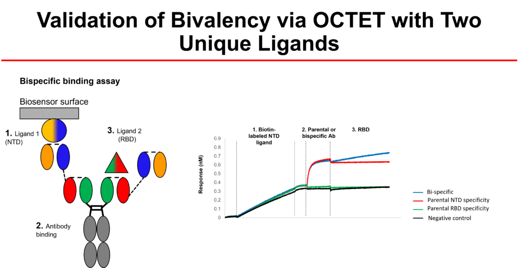 case study 2 bi specific