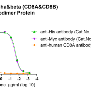 human cd8 alpha&beta (cd8a&cd8b) heterodimer protein