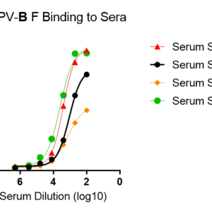 human anti metapneumovirus (hmpv) fusion (f) protein antibody iga titer serologic assay kit
