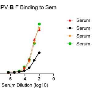 human anti metapneumovirus (hmpv) fusion (f) protein antibody igm titer serologic assay kit