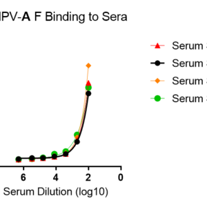 human anti metapneumovirus (hmpv) fusion (f) protein antibody iga titer serologic assay kit