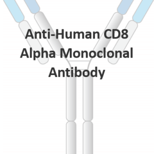 anti human cd8 alpha monoclonal antibody