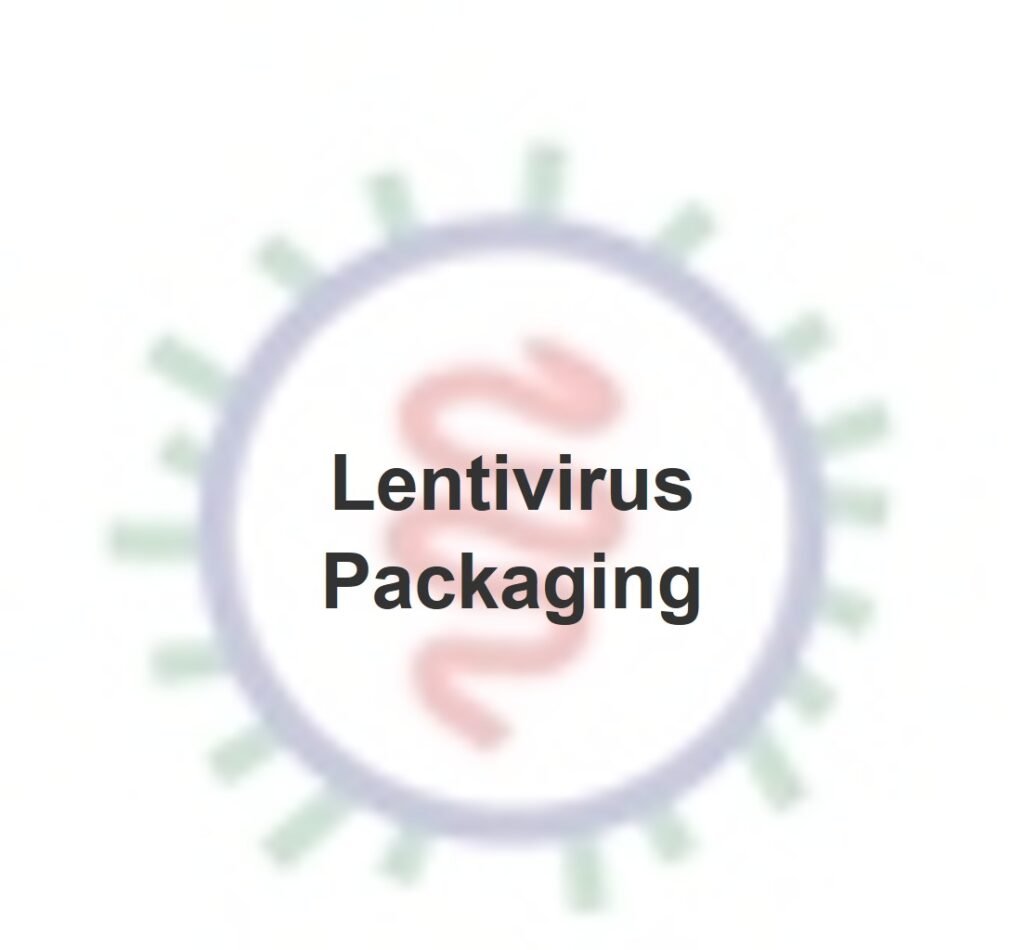lentivirus packaging
