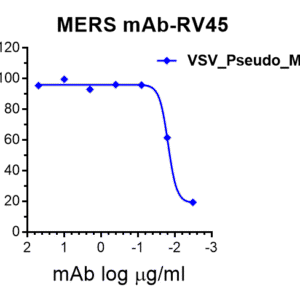 anti mers s ntd monoclonal neutralizing antibody