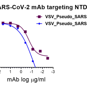 anti sars cov 2 s ntd monoclonal neutralizing antibody