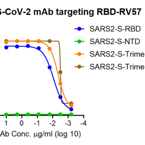 anti sars cov 2 s rbd monoclonal antibody