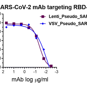 anti sars cov 2 s rbd monoclonal antibody