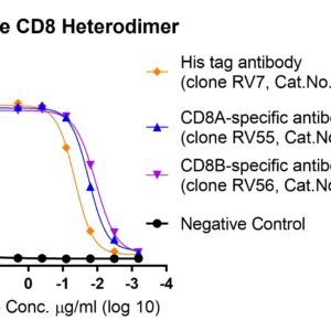 mouse cd8 alpha&beta (cd8a&cd8b) heterodimer protein