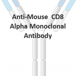 anti mouse cd8 alpha monoclonal antibody