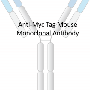 anti myc tag mouse monoclonal antibody