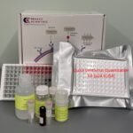 quick lentivirus quantitation kit (p24 elisa)