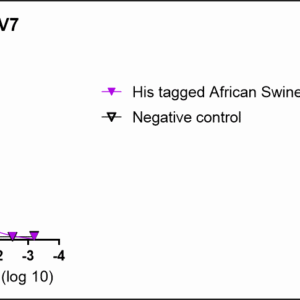 anti his tag porcine monoclonal antibody