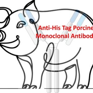anti his tag porcine monoclonal antibody