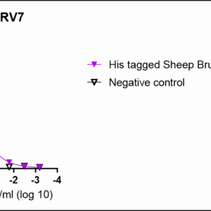 anti his tag porcine monoclonal antibody (copy)