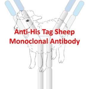anti his tag porcine monoclonal antibody (copy)