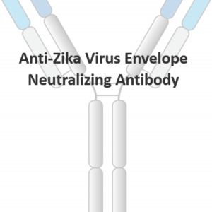 anti zika virus envelope monoclonal neutralizing antibody
