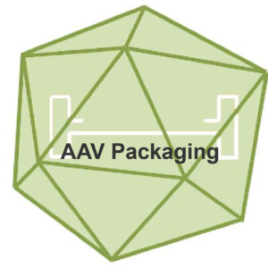aav packaging service