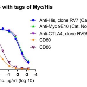 human ctla 4 protein (c122s mutation), myc and his tags