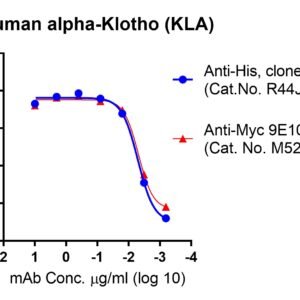 human alpha klotho (kla) protein, myc and his tags