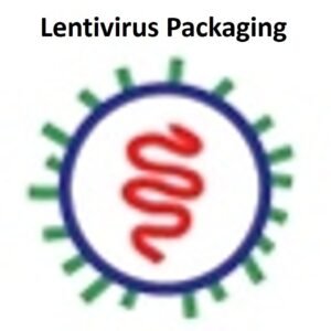 lentivirus packaging service