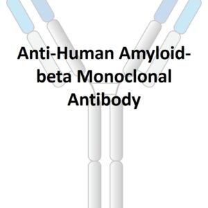 anti human amyloid beta monoclonal antibody (aducanumab similar)