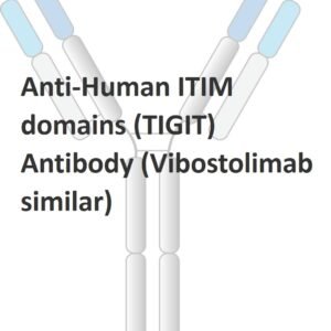 anti human itim domains (tigit) antibody (vibostolimab similar)