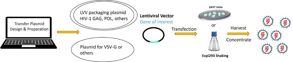 lentivirus service