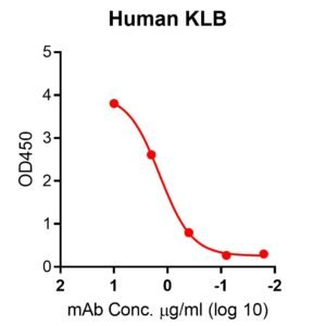 human klotho beta quantitation elisa kit