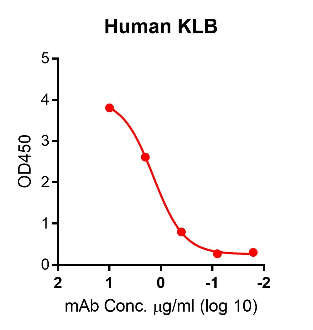 human klotho beta quantitation elisa kit human klotho beta quantitation elisa kit