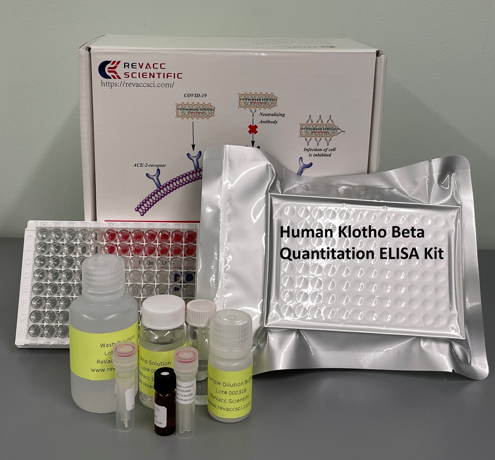 human klotho beta quantitation elisa kit human klotho beta quantitation elisa kit