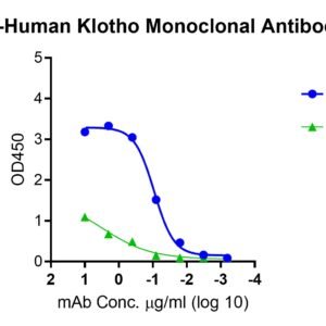 anti human klotho beta monoclonal antibody