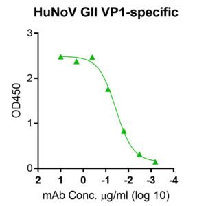 anti norovirus (hunov) vp1 monoclonal antibody (genogroup ii, gii)