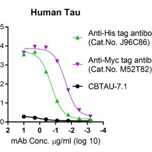 human tau protein, myc and his tags