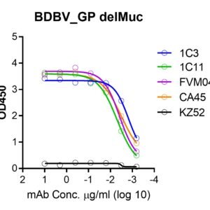 ebola bundibugyo trimeric gp protein –twinstrep and his tags