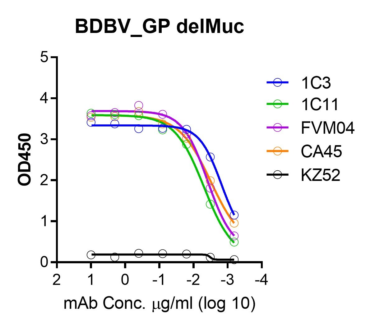 ebola bundibugyo trimeric gp protein –twinstrep and his tags ebola bundibugyo trimeric gp protein –twinstrep and his tags