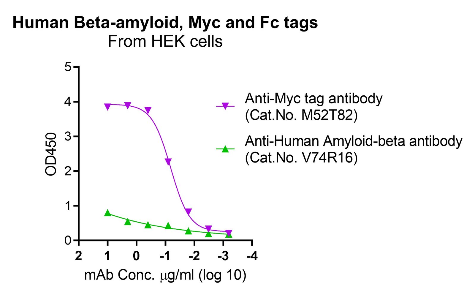 Human Beta-amyloid protein, Myc and Fc tags