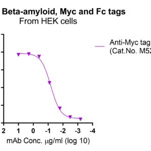 Human Beta-amyloid protein, Myc and Fc tags