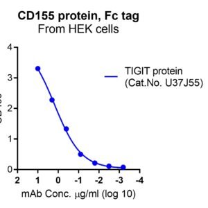 Human CD155 Protein, Fc tag
