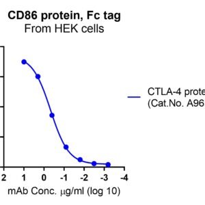 Human CD86 Protein, Fc tag