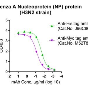 Influenza A Nucleoprotein (NP) protein (H3N2 strain)