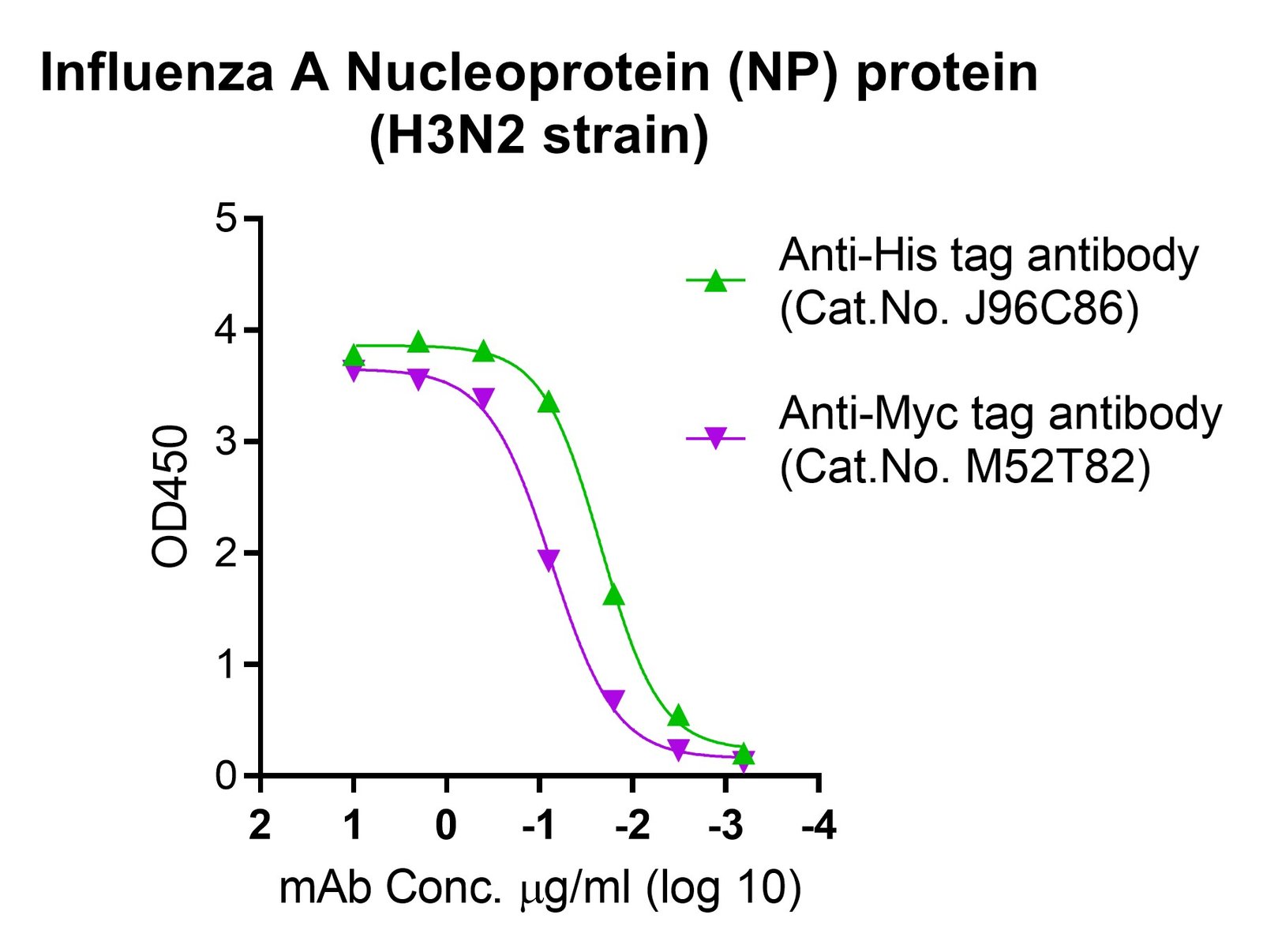 Influenza A Nucleoprotein (NP) protein (H3N2 strain)