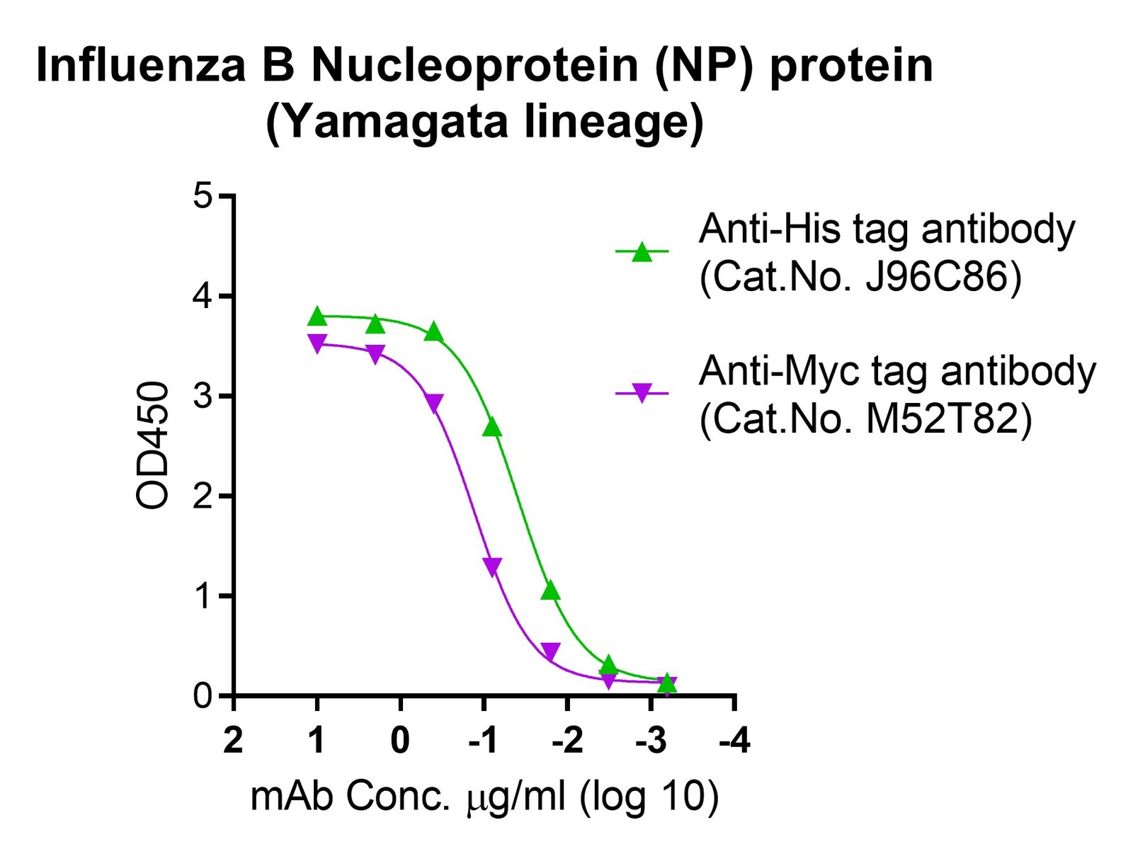 Influenza B Nucleoprotein (NP) protein (Yamagata lineage)