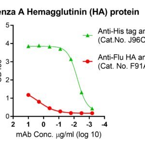 Influenza A Hemagglutinin (HA) protein (H3N2), His and Fc tags