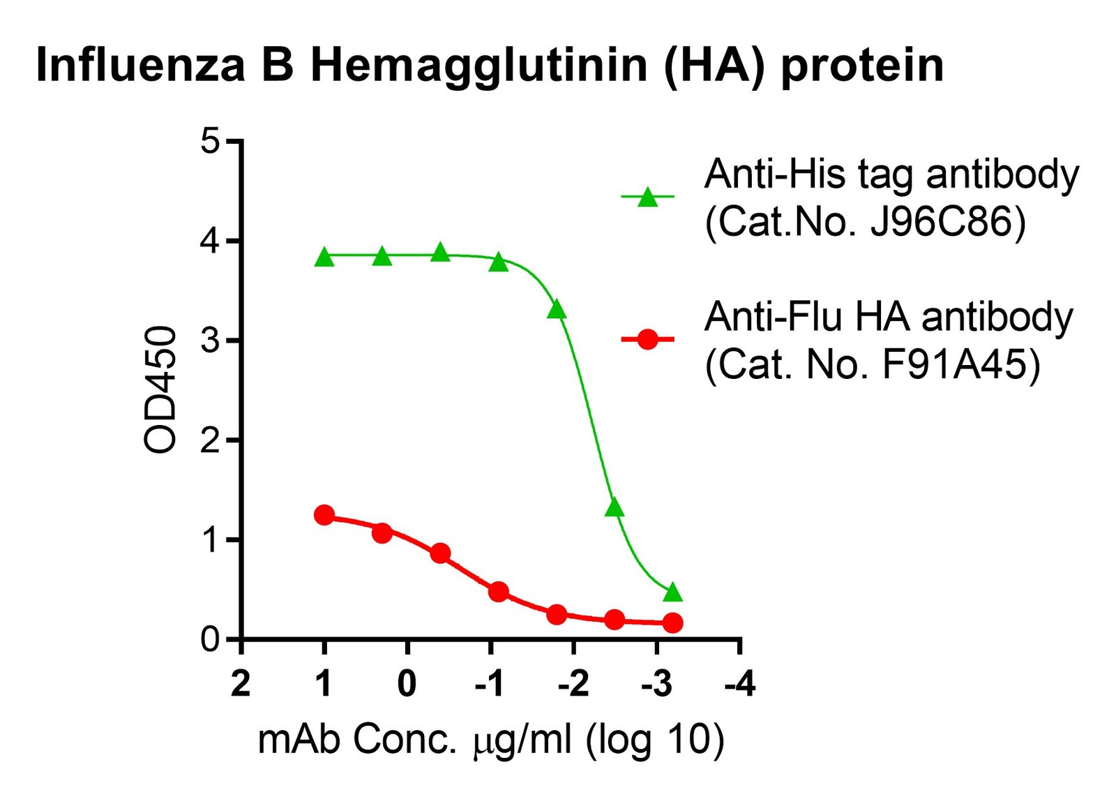 Influenza B Hemagglutinin (HA) protein (Victoria lineage), His and Fc tags