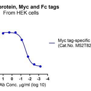 Human GPC3 Protein, Myc and Fc tag